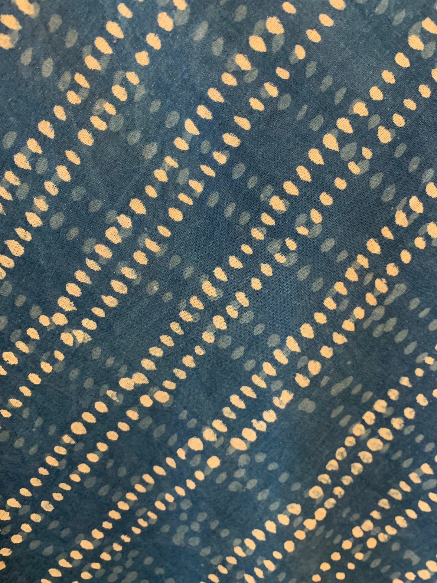 Indigo Ishita Tank Top